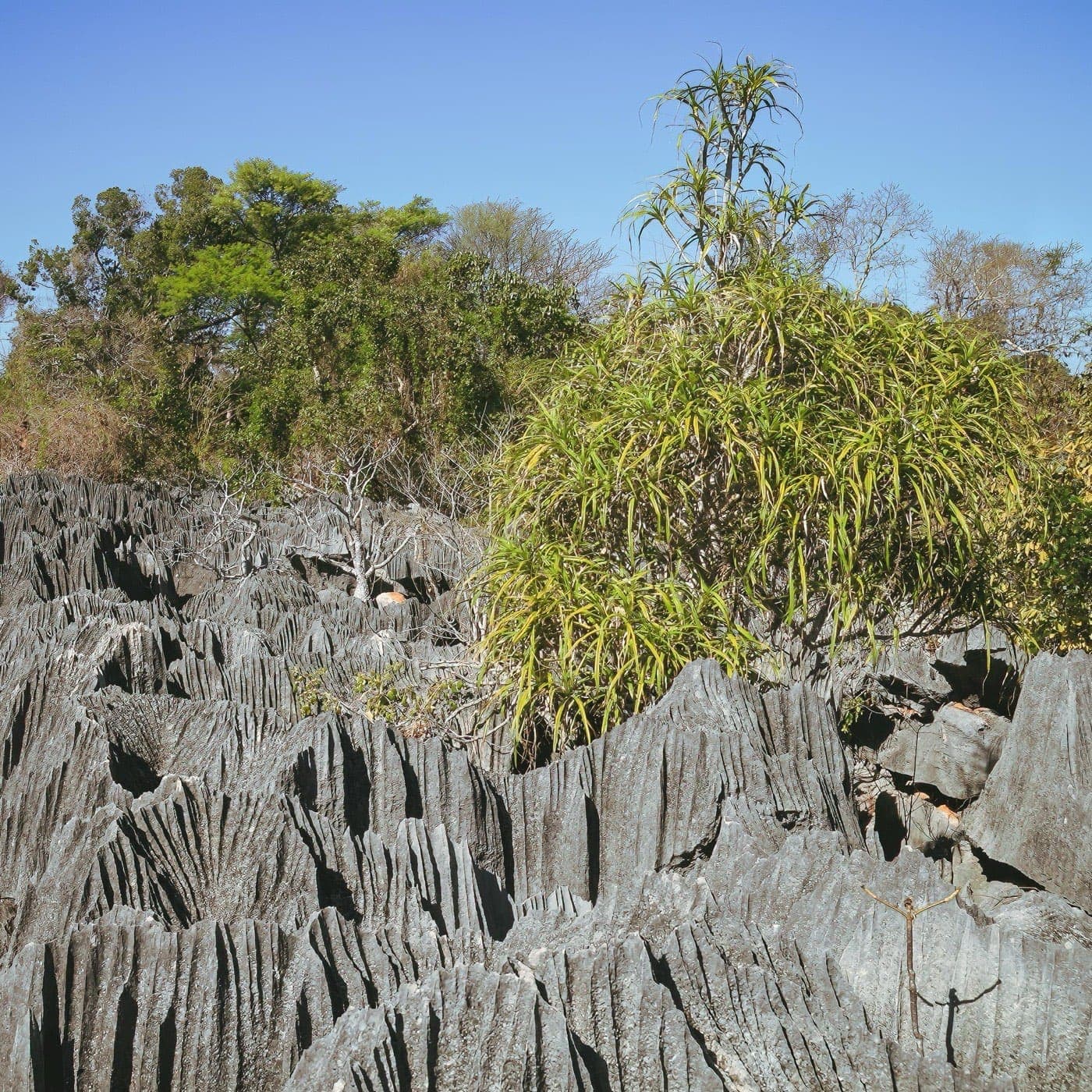 Pontos turísticos em Madagascar